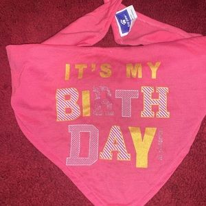 Birthday Bandana for Dogs